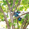 Fierestrau pe acumulatori Makita DUC101Z